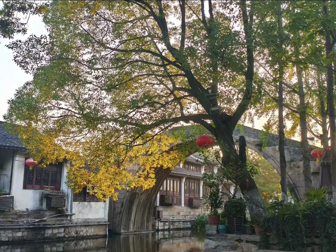 世界 你好！-聚宝盆