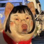 z.的头像-聚宝盆