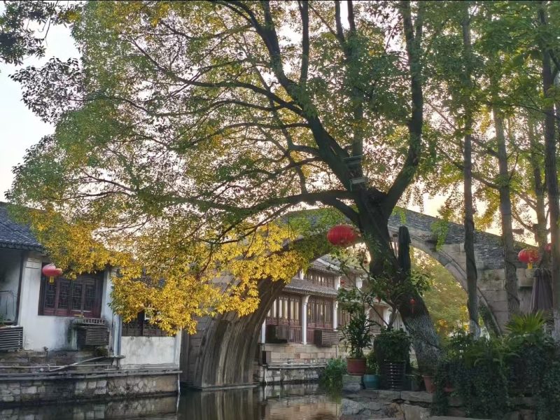 世界 你好！-聚宝盆